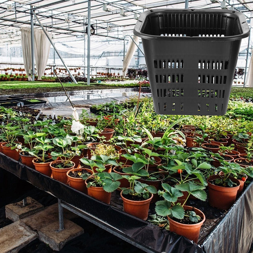 15 pcs Root Control Flowerpot  - Indoor Plants review and price