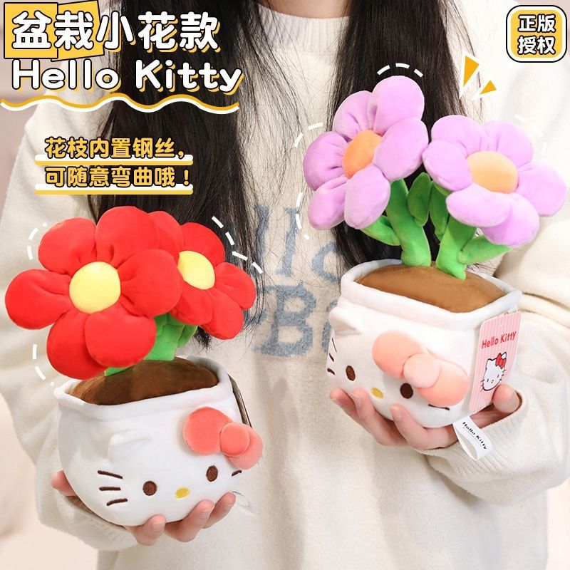 23Cm Authentic with Tag Hello  - Plant Pot review and price