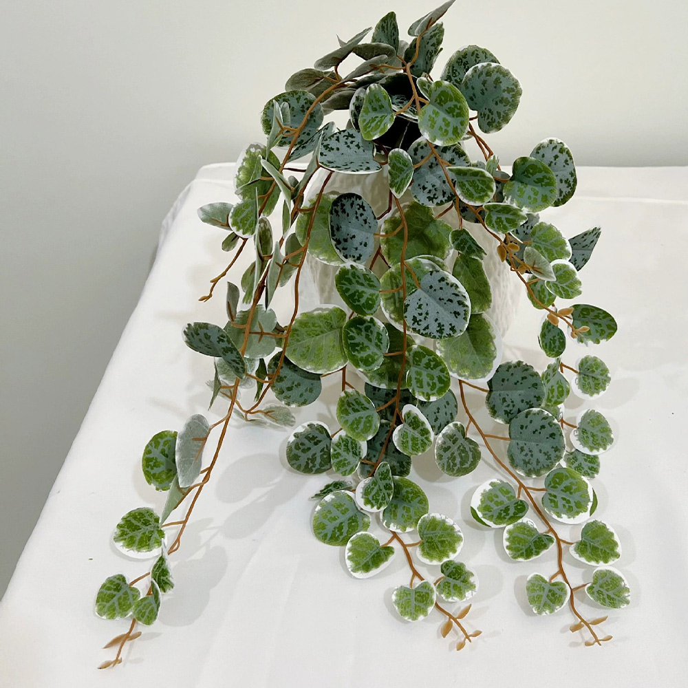 49cm Artificial Plants Vines F - Snake Plant review and price