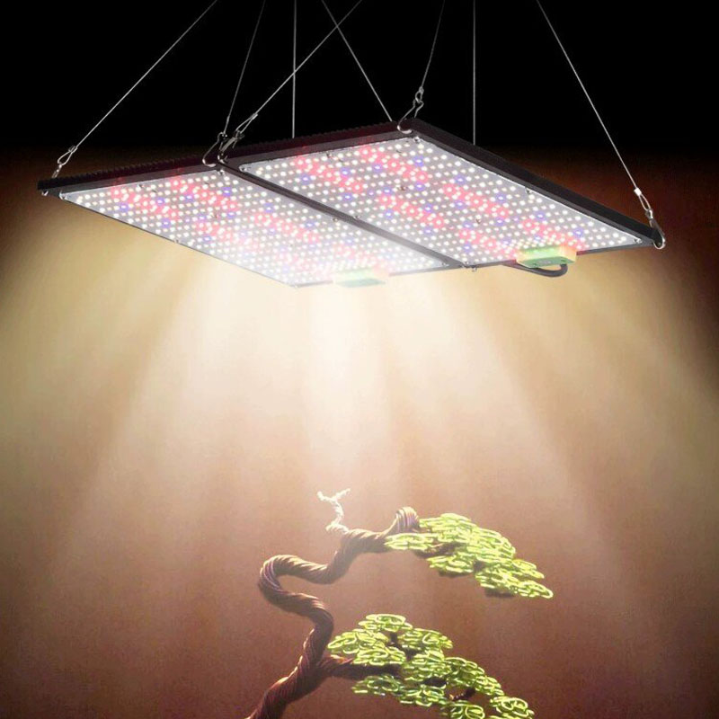 LED Quantum‑Board Grow Light F - Indoor Plants review and price