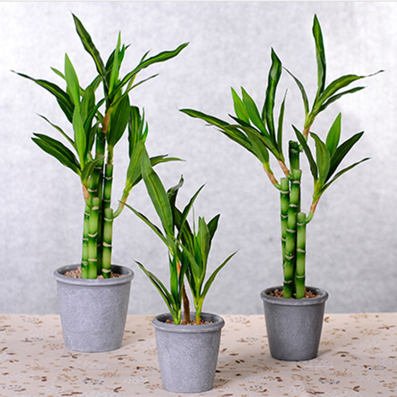 New 40cm Artificial Lucky Bamb - Snake Plant review and price