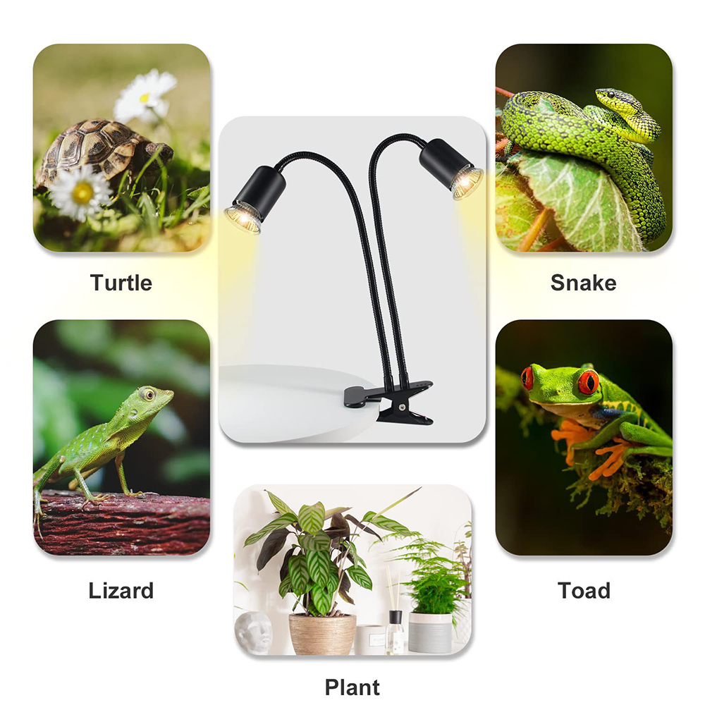 Reptile Heat Lamp Rotating Dou - Snake Plant review and price