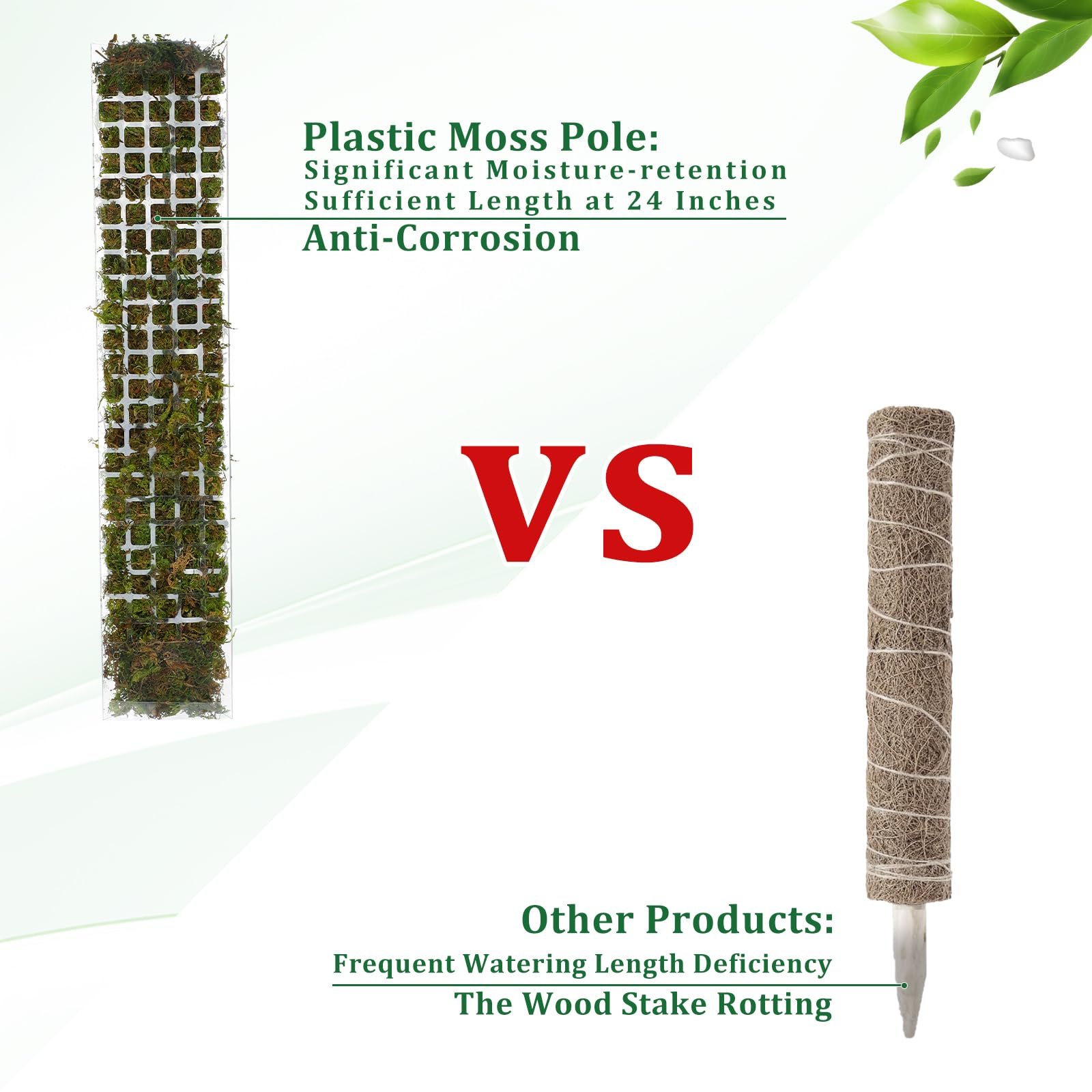 Moss Pole Plastic Plant Stand  - Plant Support Stake review and price