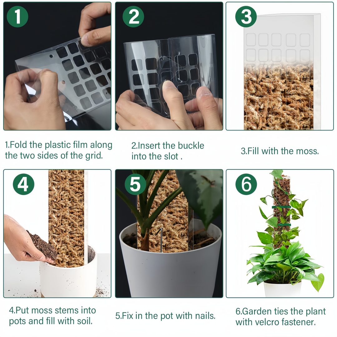 Moss Pole Plastic Plant Stand  - Plant Support Stake review and price