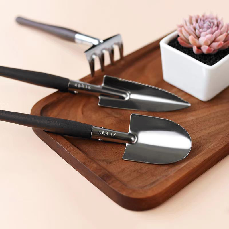 3pcs/set, Garden Tool Set Rake - Succulent Set review and price
