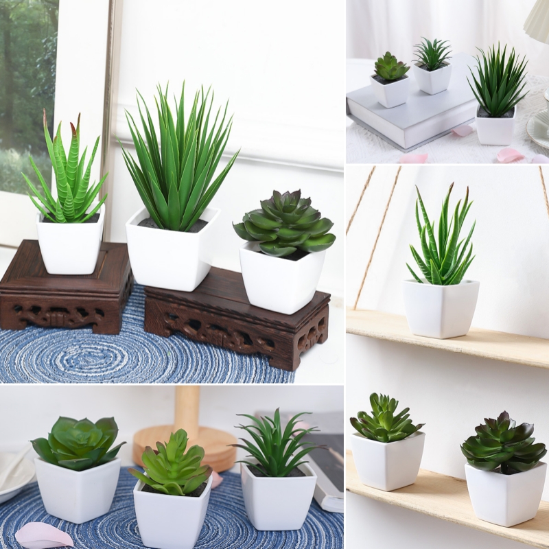 (A set of 3PCS) Simulated Mini - Succulent Set review and price