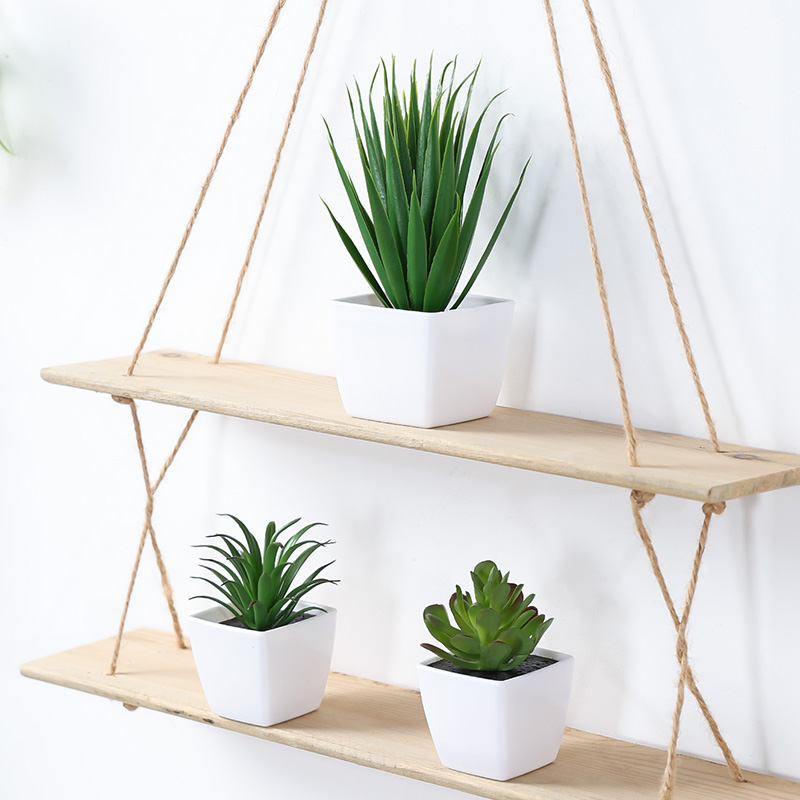 (A set of 3PCS) Simulated Mini - Succulent Set review and price