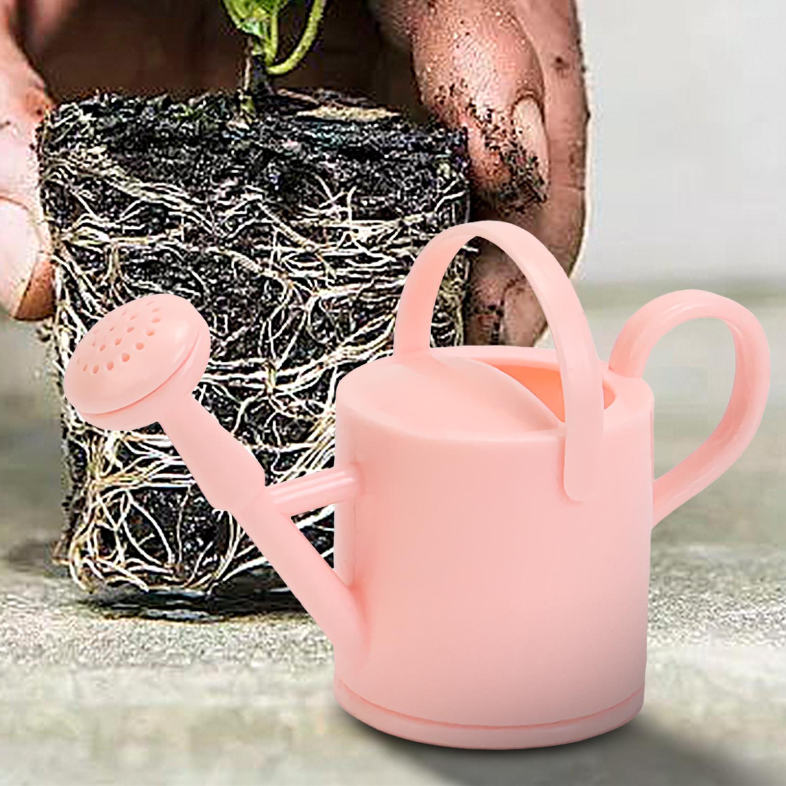 Small Kids Watering Can Flexib - Succulent Set review and price