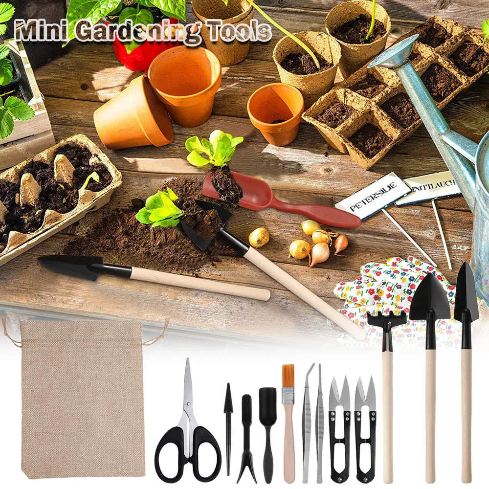 13PCS Succulent Plants Tool Se - Succulent Set review and price