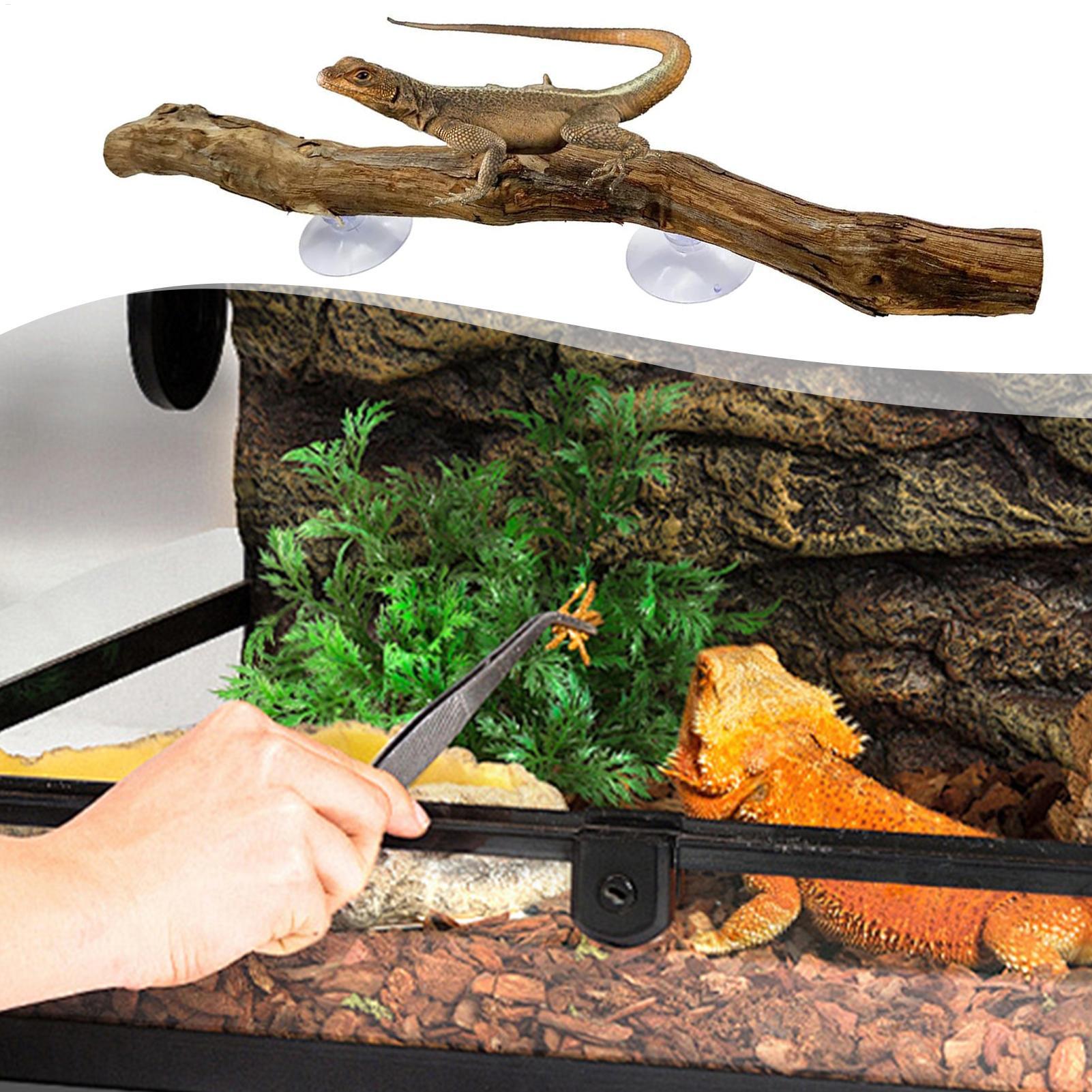 Reptile Climbing Corner Stick  - Snake Plant review and price