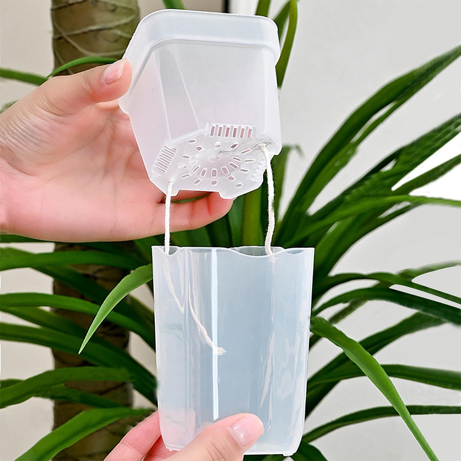 16/32 Pack Self-Watering Plant - Pothos review and price