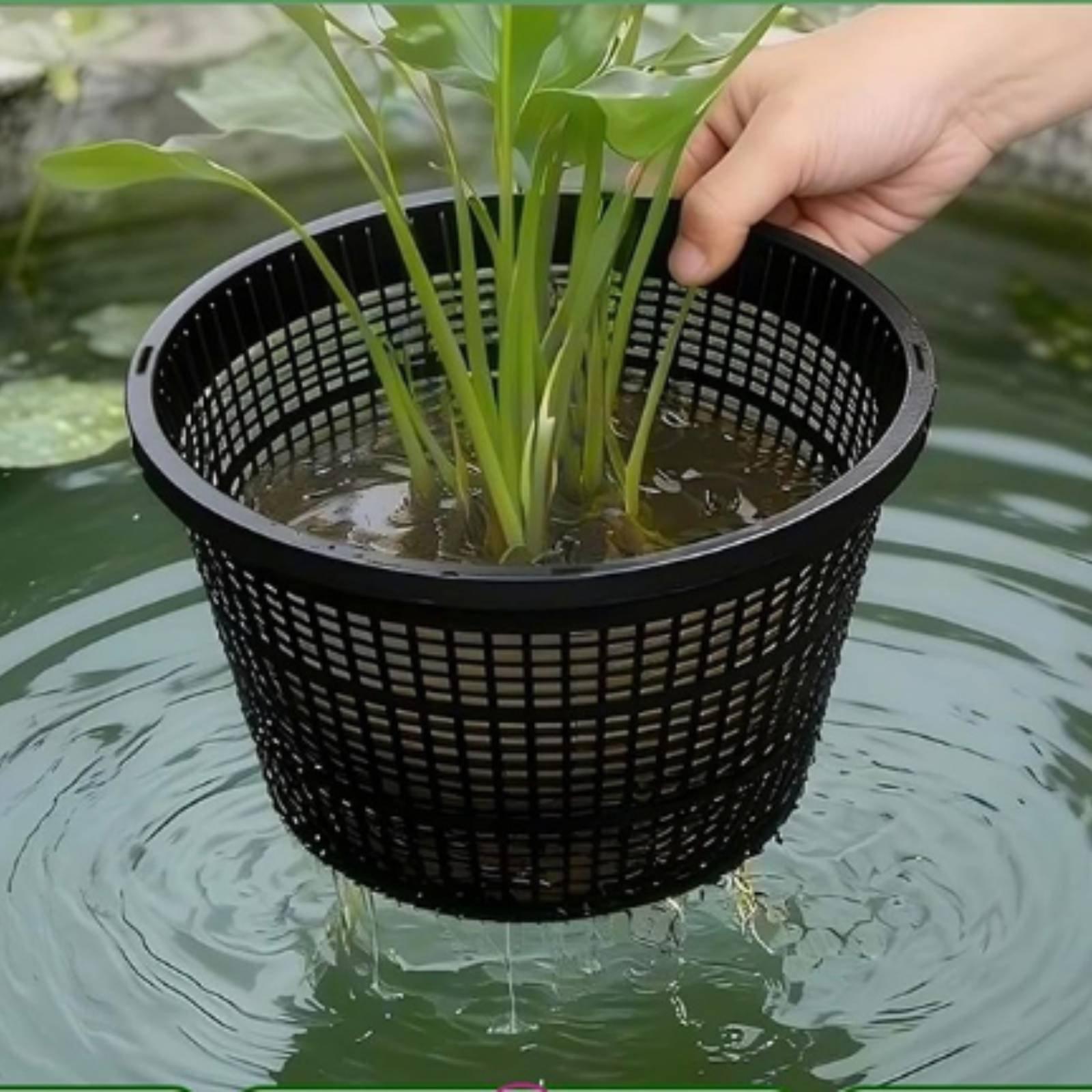 Hydroponic Planter Wide Rim Me - Plant Pot review and price