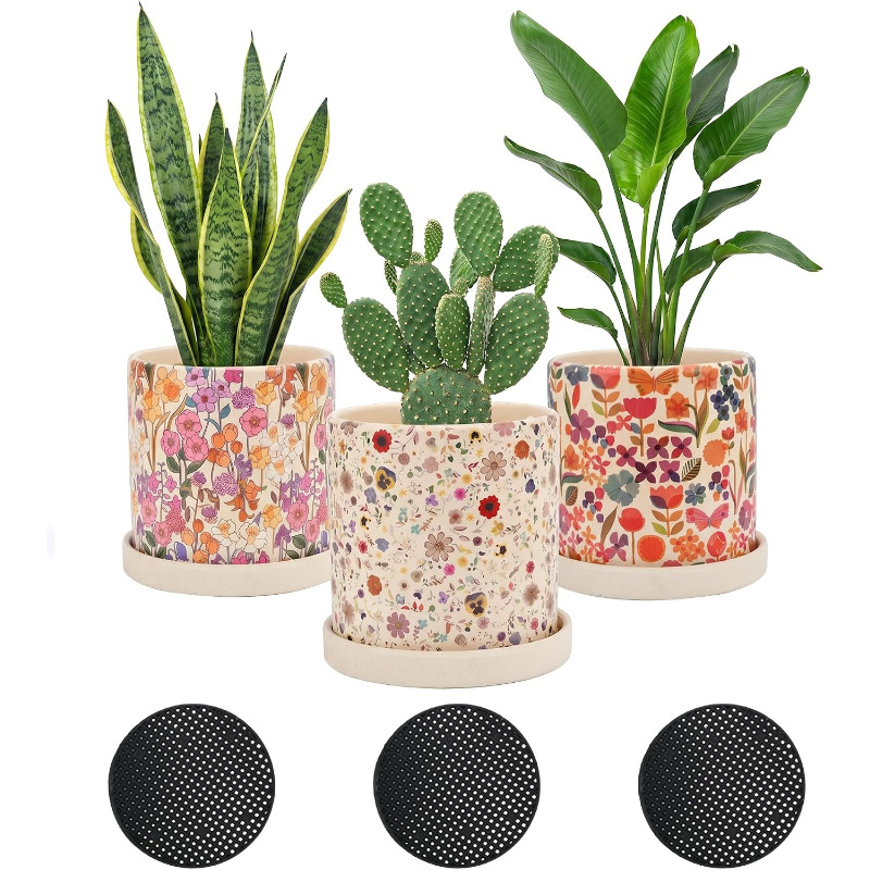 3Pcs Floral Ceramic Planters w - Snake Plant Ceramic review and price