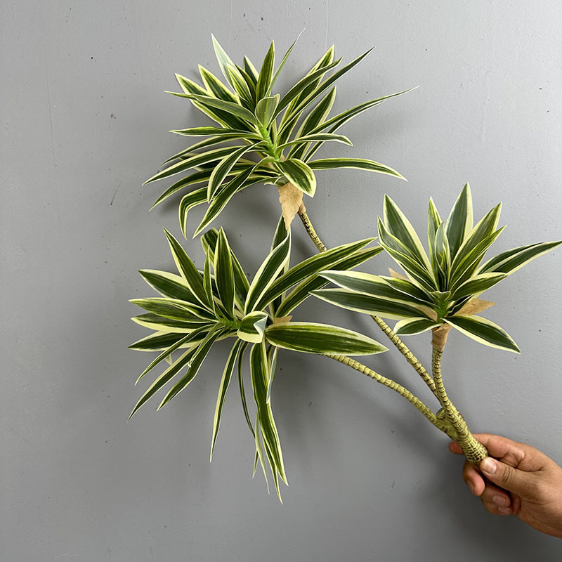 Simulated Green Plants 3 Heads - Snake Plant review and price