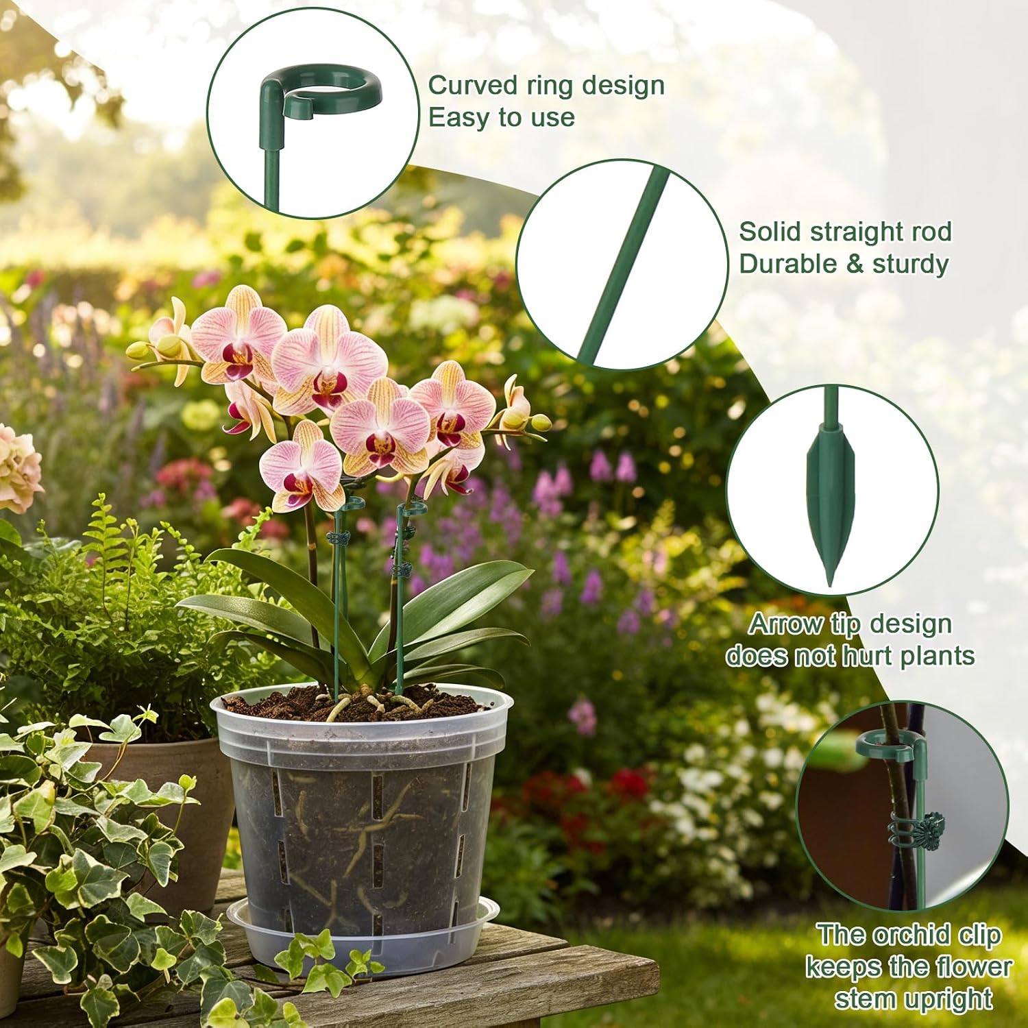 5/10pcs Plant Support Stakes P - Succulent Set review and price