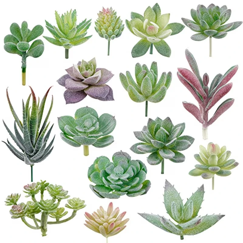 10/20Pcs PVC Succulents Plants - Snake Plant review and price